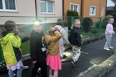 Obrázek č.51