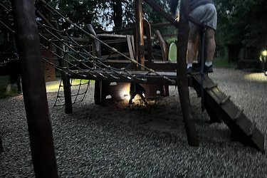 Obrázek č.59