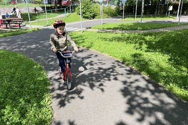 Obrázek č.43