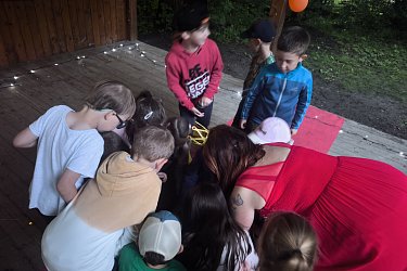 Obrázek č.80