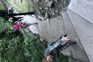 Obrázek č.66