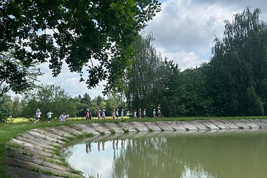 Obrázek č.131