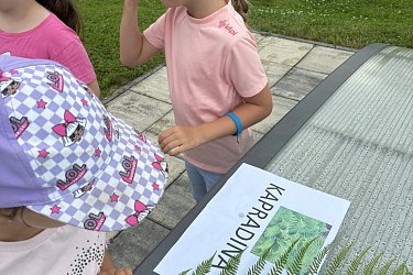 Obrázek č.27