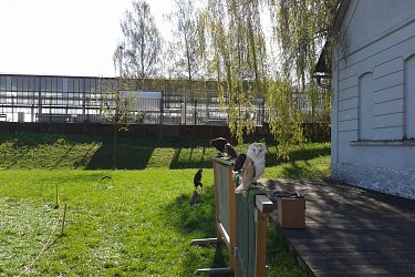 Obrázek č.1