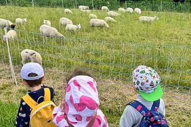 Obrázek č.14