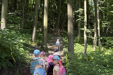 Obrázek č.125