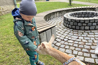 Obrázek č.13