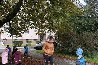 Obrázek č.108