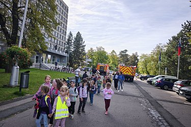 Obrázek č.61