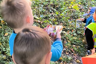 Obrázek č.37