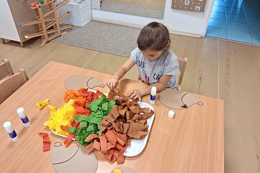 Obrázek č.244
