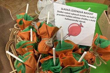 Obrázek č.2
