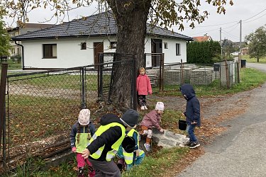 Obrázek č.5