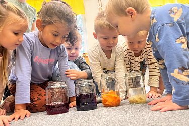 Obrázek č.19